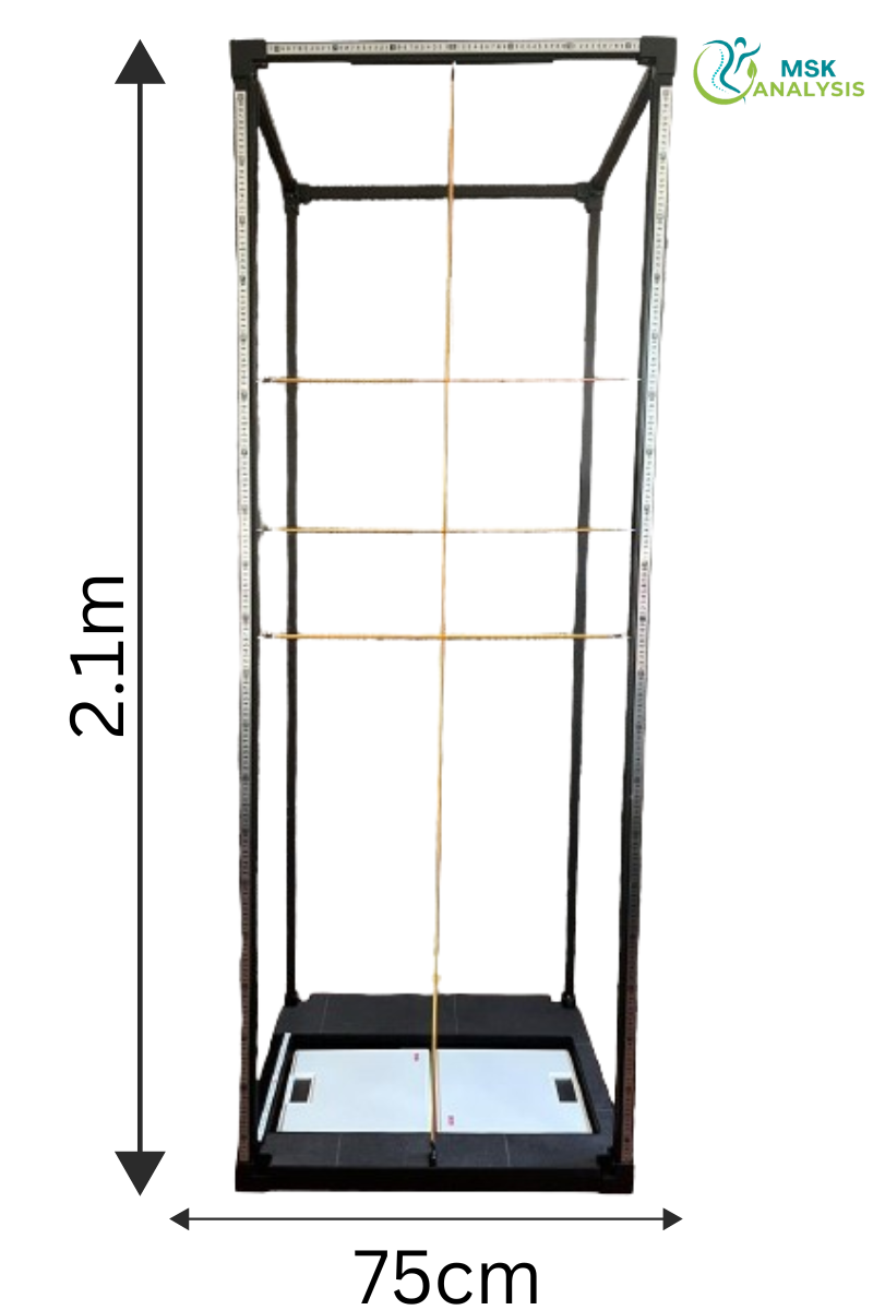 posture analysis