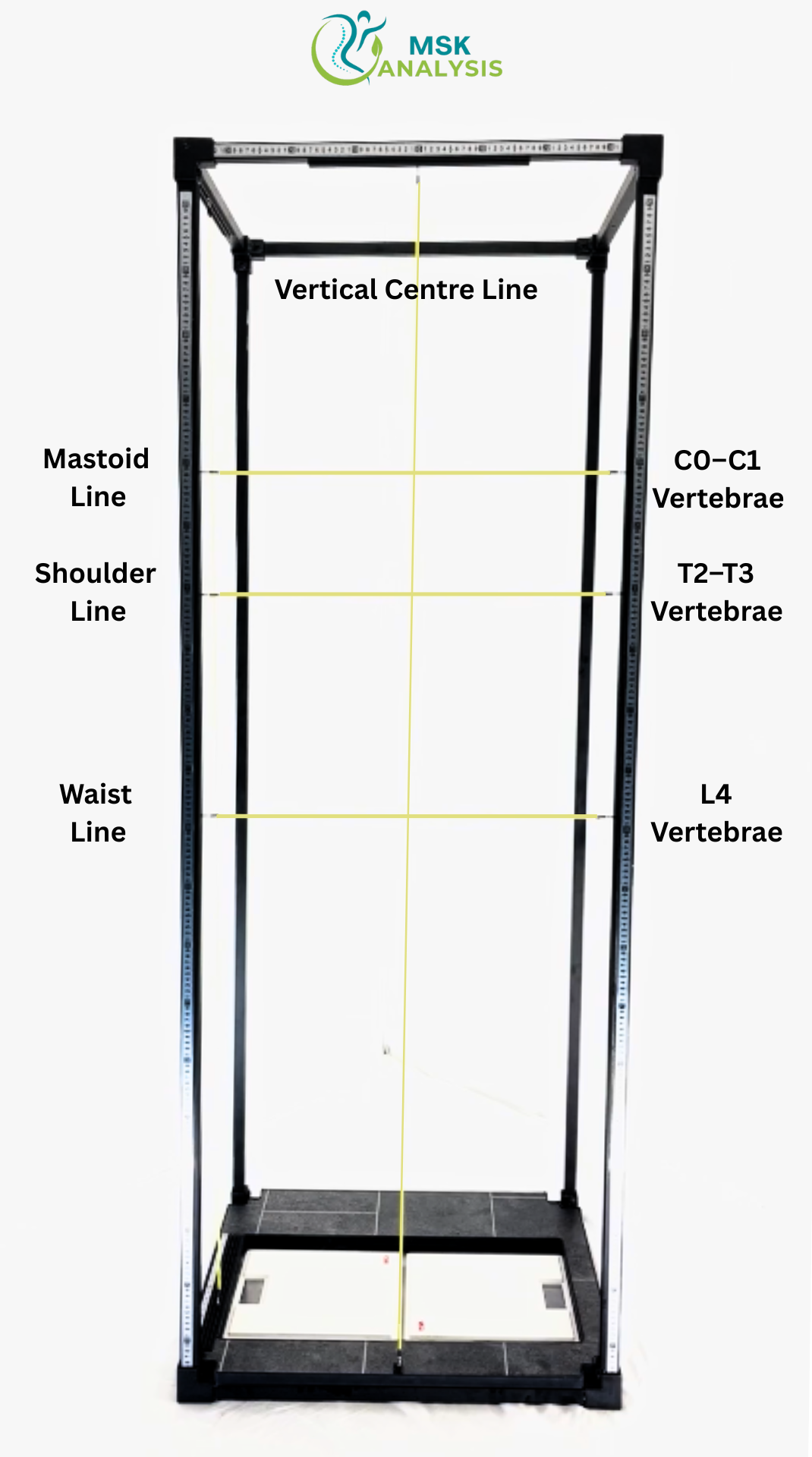 Setting the yellow cords as the reference